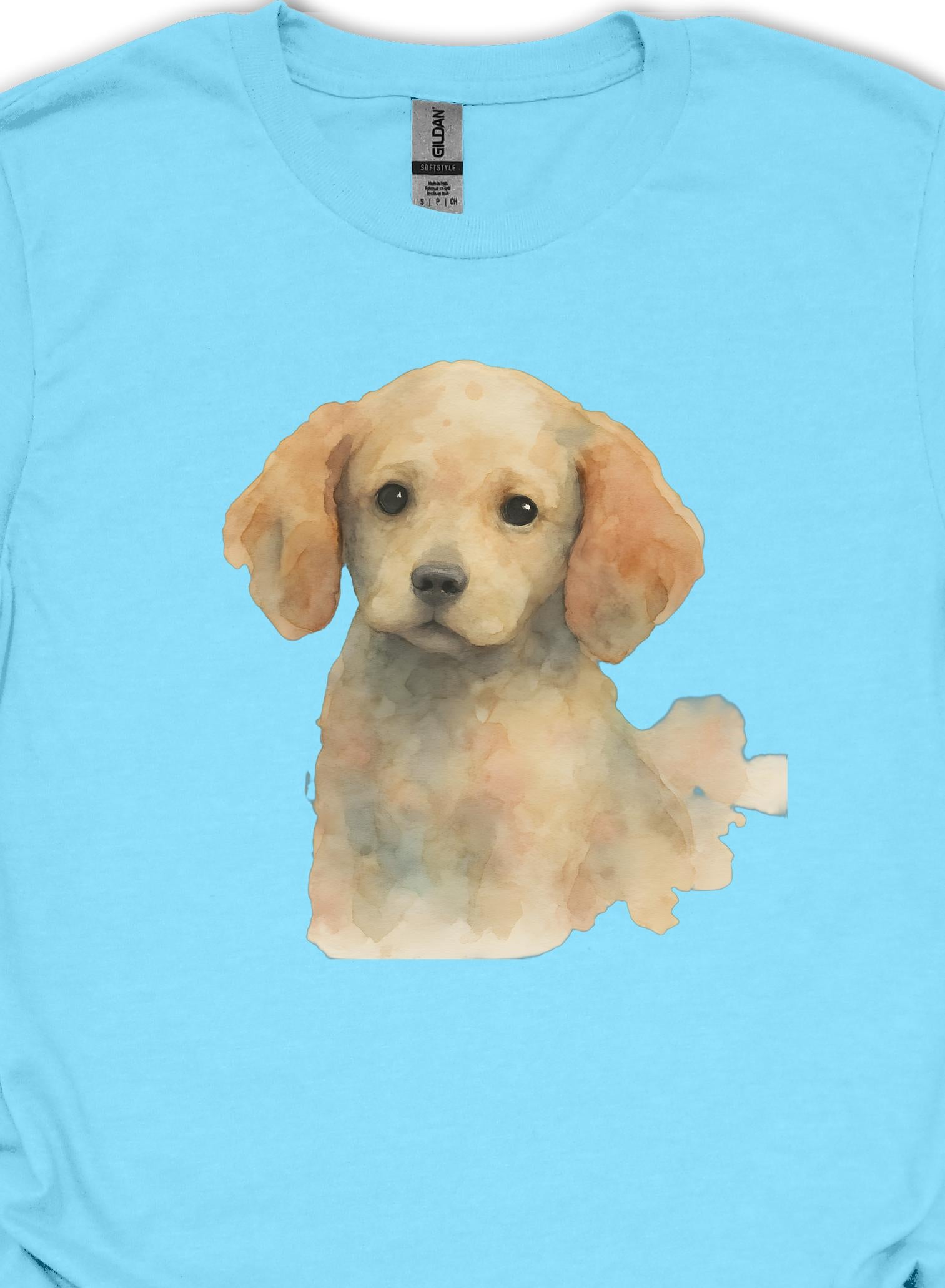 color:Sky